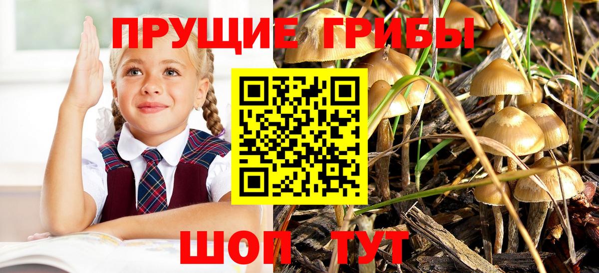 Галлюциногенные грибы ЛСД Кашира