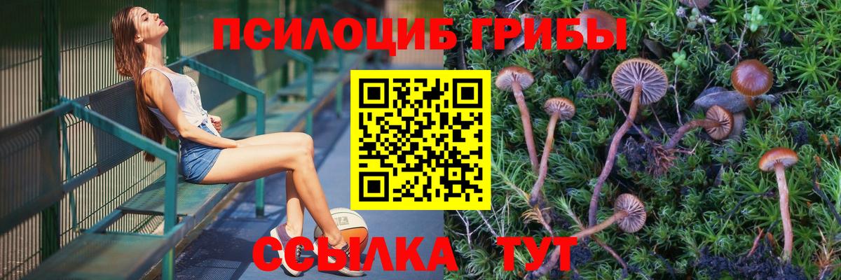 Псилоцибиновые грибы мухоморы  Вход с VPN  Кашира 